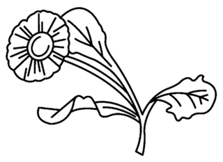 Fleur 008 - Coloriages fleurs, fruits et légumes - Coloriages - 10doigts.fr